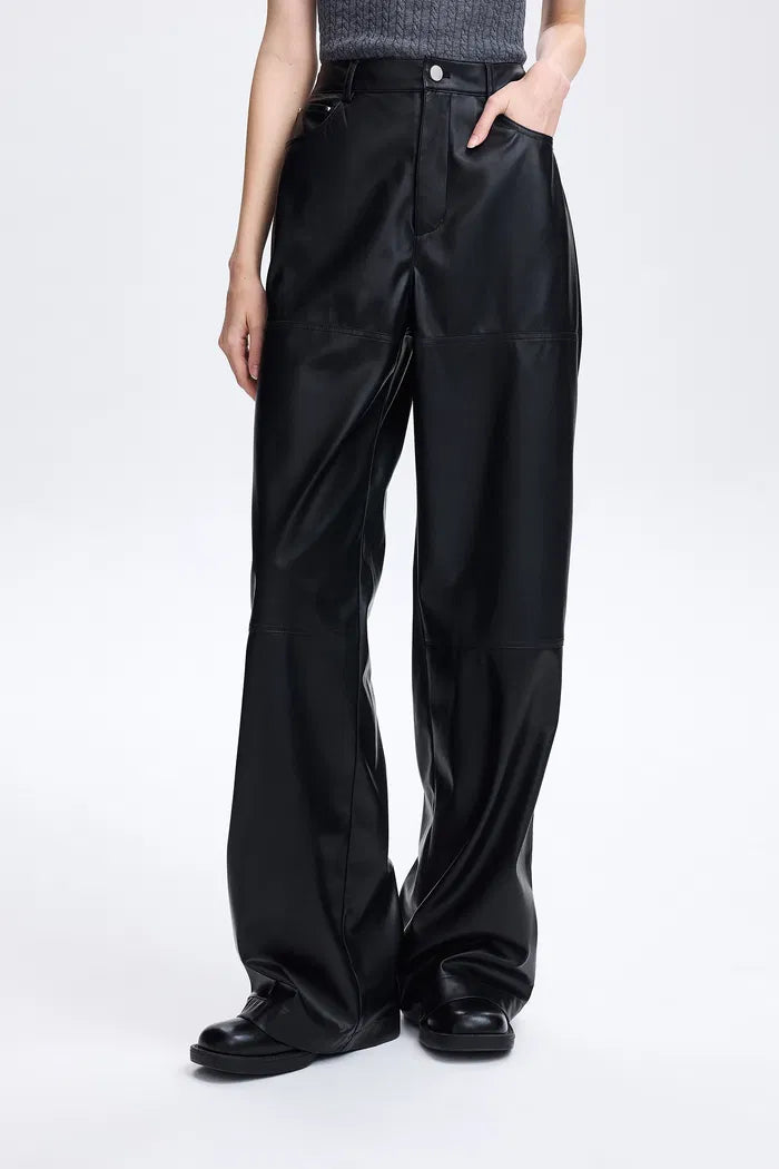 Liz Stitches Eco Leather Pants